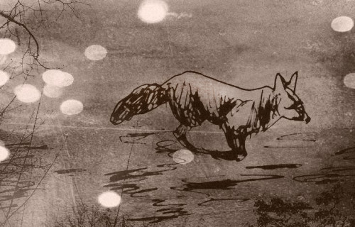 Scribble von einem rennenden Fuchs mit fliegenden Lichtern auf Vintage-Papier